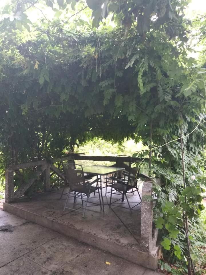 Вилла Casa Da Vovo Амаранте Номер фото